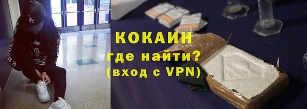 гидра Арсеньев