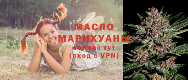 гидра Арсеньев