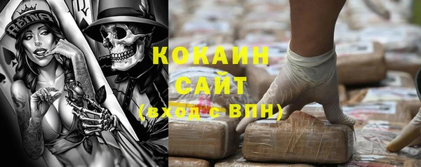гидра Арсеньев