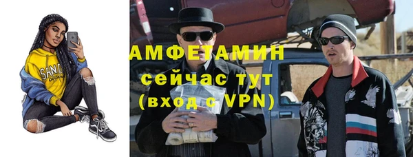 гидра Арсеньев